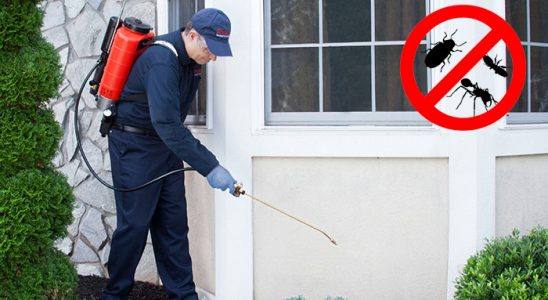 Koyulhisar Böcek ve Haşere İlaçlama böcek ilaçlama ve haşere kontrolü — ilaclama-tr.com